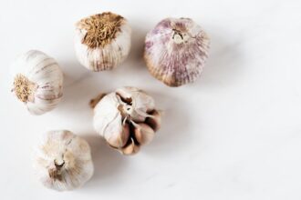 découvrez les bienfaits et les nombreuses utilisations de l'ail dans votre alimentation. apprenez à intégrer cet ingrédient savoureux et sain dans vos recettes pour rehausser vos plats tout en profitant de ses propriétés médicinales.