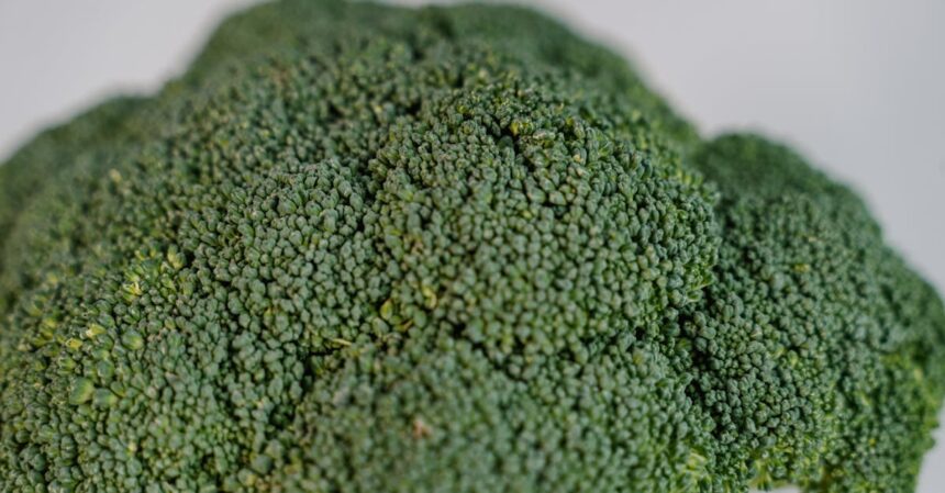découvrez les bienfaits d'un régime anti-inflammatoire : améliorez votre santé, réduisez l'inflammation et boostez votre énergie avec des aliments naturels et savoureux. adoptez une alimentation équilibrée et optimisez votre bien-être au quotidien.