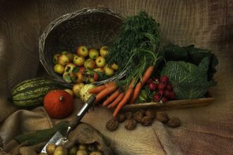 découvrez l'importance de la nutrition pour votre santé et votre bien-être. apprenez des conseils pratiques sur les aliments à privilégier, les régimes équilibrés et les meilleures habitudes alimentaires pour améliorer votre qualité de vie.