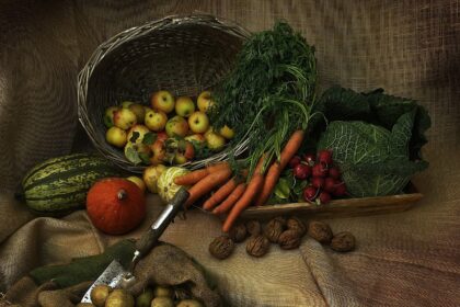 découvrez l'importance de la nutrition pour votre santé et votre bien-être. apprenez des conseils pratiques sur les aliments à privilégier, les régimes équilibrés et les meilleures habitudes alimentaires pour améliorer votre qualité de vie.