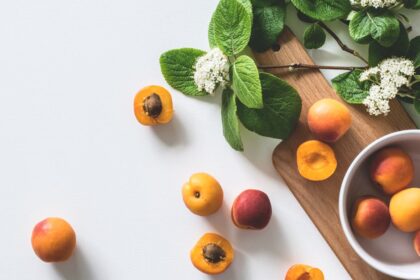 découvrez les secrets d'une bonne santé intestinale avec nos conseils, astuces et recettes. apprenez comment améliorer votre bien-être digestif et renforcer votre système immunitaire grâce à une alimentation équilibrée et des habitudes saines.