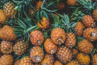 découvrez tout sur les glucides : leur rôle essentiel dans l'alimentation, les différents types de glucides, et comment les intégrer de manière équilibrée à votre régime pour une énergie durable et une santé optimale.