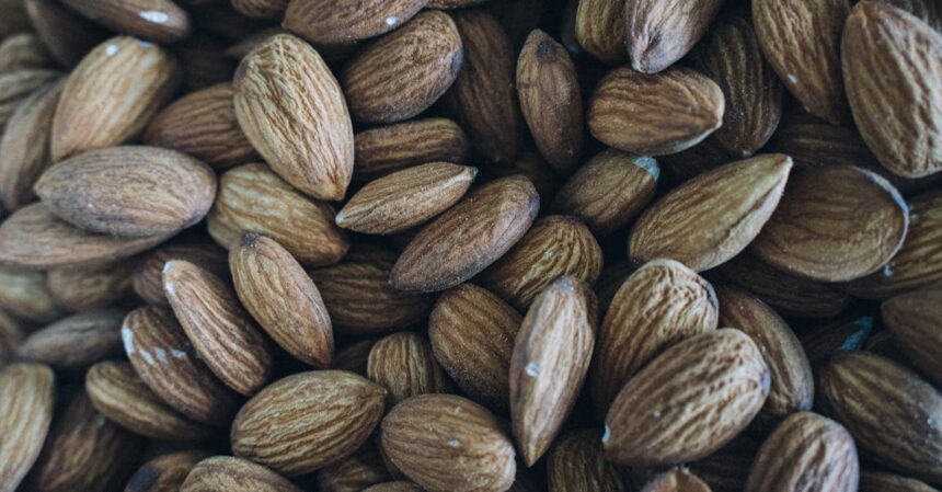 découvrez tout ce que vous devez savoir sur les acides gras insaturés : leurs bienfaits pour la santé, les sources alimentaires et comment les intégrer dans votre alimentation pour améliorer votre bien-être général.
