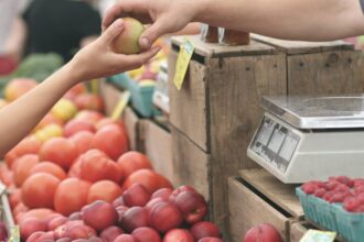 découvrez une nutrition personnalisée adaptée à vos besoins spécifiques. améliorez votre bien-être grâce à des conseils nutritionnels sur mesure, des plans de repas personnalisés et un suivi dédié pour atteindre vos objectifs de santé.