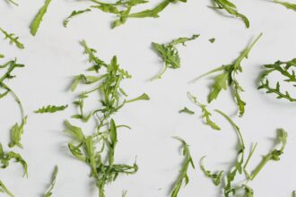 découvrez les bienfaits des aliments anti-inflammatoires pour améliorer votre santé. apprenez à intégrer ces super-aliments dans votre alimentation quotidienne pour réduire l'inflammation, favoriser la récupération et promouvoir un bien-être optimal.