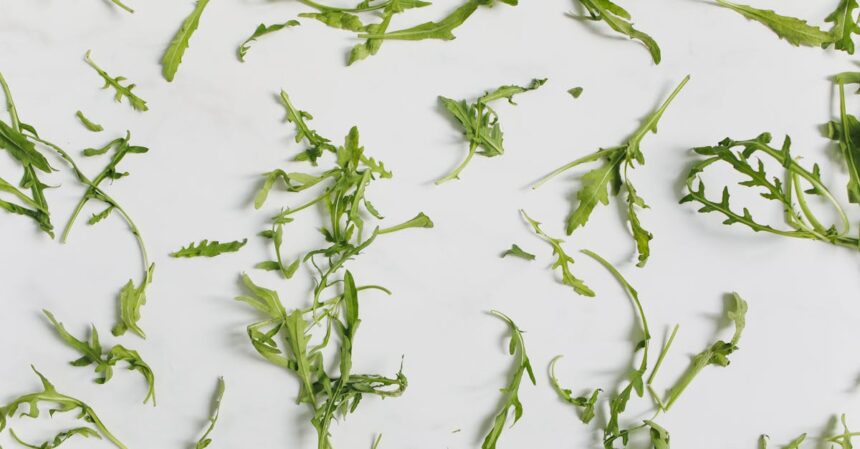 découvrez les bienfaits des aliments anti-inflammatoires pour améliorer votre santé. apprenez à intégrer ces super-aliments dans votre alimentation quotidienne pour réduire l'inflammation, favoriser la récupération et promouvoir un bien-être optimal.