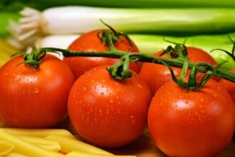 découvrez les aliments essentiels pour des dents en bonne santé ! apprenez comment une alimentation équilibrée peut renforcer votre émail dentaire, prévenir les caries et favoriser une hygiène bucco-dentaire optimale.