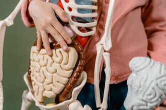 découvrez tout ce que vous devez savoir sur la digestion : processus, astuces pour améliorer votre santé digestive et conseils nutritionnels pour faciliter cette fonction essentielle de votre corps.