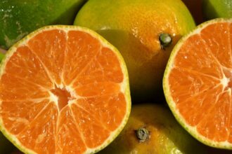 découvrez les aliments qui renforcent votre immune système! apprenez comment intégrer des super-aliments nutritifs dans votre quotidien pour améliorer votre santé et votre bien-être.