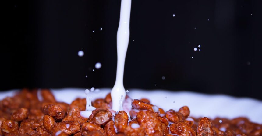 découvrez l'importance du calcium pour votre santé. apprenez comment cet minéral essentiel contribue à la solidité de vos os, à la fonction musculaire et à la transmission nerveuse. explorez les meilleures sources alimentaires de calcium et les besoins quotidiens recommandés pour un bien-être optimal.