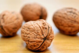 découvrez l'importance des graisses saines pour votre santé. apprenez comment intégrer des acides gras bénéfiques dans votre alimentation pour améliorer votre bien-être et soutenir votre cœur.