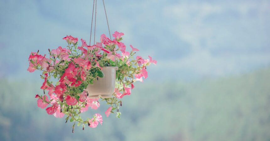 découvrez la beauté et la diversité de la nature à travers ses paysages époustouflants, sa faune et sa flore uniques. plongez dans un monde naturel fascinant qui inspire à la fois sérénité et aventure.