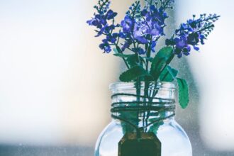 découvrez les bienfaits de l'aromathérapie, une pratique ancestrale utilisant les huiles essentielles pour améliorer votre bien-être physique et mental. apprenez à harmoniser votre esprit et votre corps grâce aux arômes naturels.