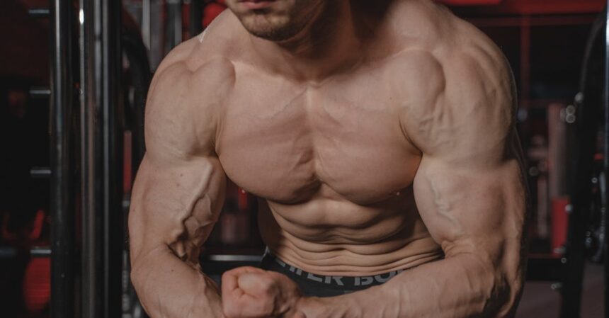 découvrez nos conseils et exercices pour développer vos pectoraux. apprenez les meilleures techniques d'entraînement, les erreurs à éviter et des astuces pour maximiser vos résultats et obtenir un torse sculpté et puissant.