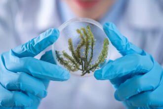 découvrez les fondamentaux de la biochimie, une discipline fascinante qui explore les processus chimiques au sein des organismes vivants, et apprenez comment ces réactions biologiques influencent la santé, la nutrition et les biotechnologies.