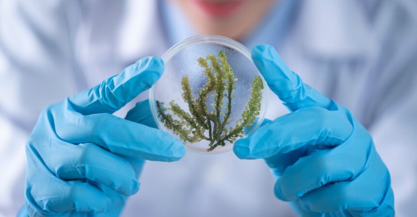 découvrez les fondamentaux de la biochimie, une discipline fascinante qui explore les processus chimiques au sein des organismes vivants, et apprenez comment ces réactions biologiques influencent la santé, la nutrition et les biotechnologies.