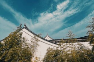 découvrez le calendrier chinois des genres, un outil fascinant utilisé depuis des siècles pour prédire le sexe des bébés à naître. apprenez comment cet ancien système repose sur l'âge de la mère et le mois de conception, et explorez son histoire et son utilité dans la culture chinoise.