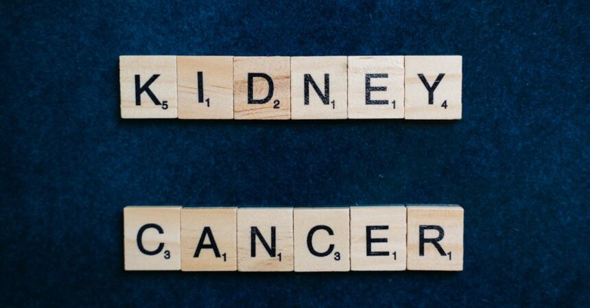 découvrez tout sur le cancer du rein : symptômes, diagnostic, traitements et prévention. informez-vous sur les recherches récentes et les avancées médicales pour mieux comprendre cette maladie.