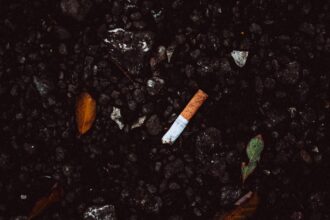 découvrez le monde du tabac : ses origines, ses variétés et son utilisation dans diverses cultures. informez-vous sur les effets du tabac sur la santé et les tendances actuelles en matière de consommation.