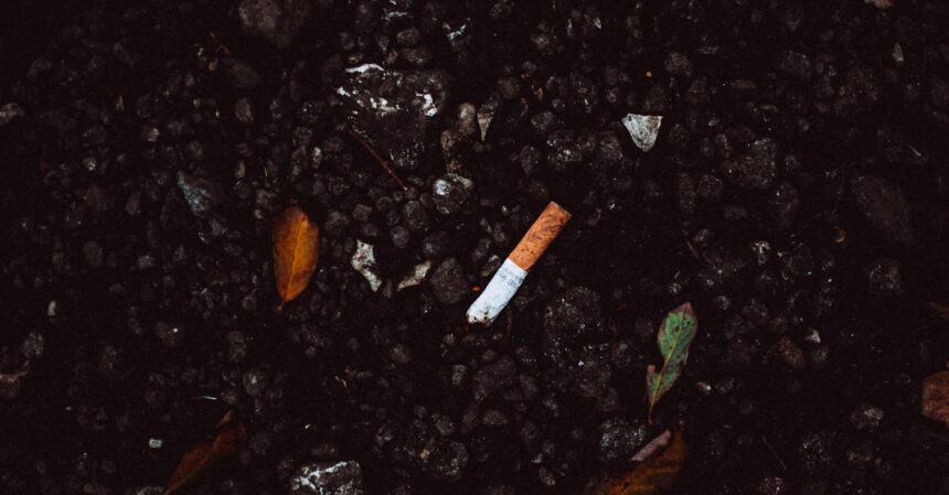 découvrez le monde du tabac : ses origines, ses variétés et son utilisation dans diverses cultures. informez-vous sur les effets du tabac sur la santé et les tendances actuelles en matière de consommation.