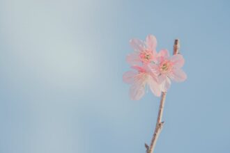 découvrez tout sur la céphalée en grappes, une forme de mal de tête intense et récurrent. apprenez à identifier les symptômes, les causes, et les options de traitement pour mieux gérer cette affection douloureuse.