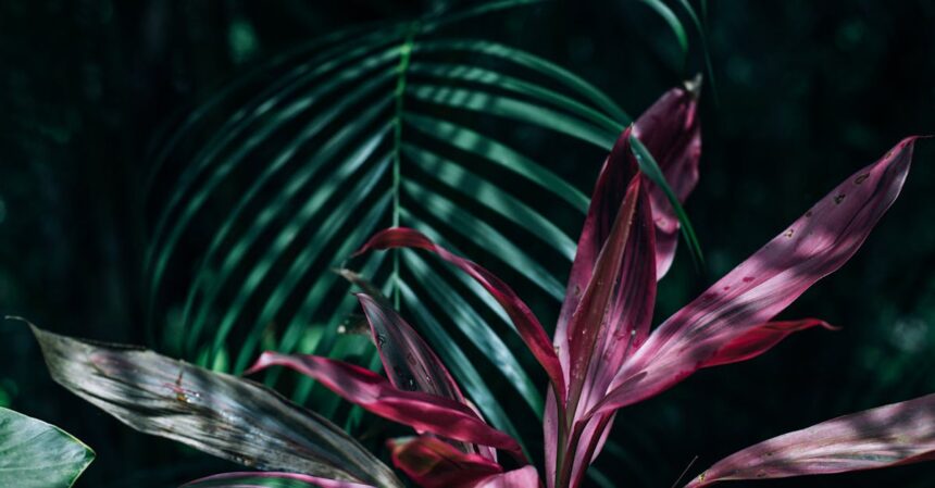 découvrez l'univers envoûtant des tropiques, où la nature luxuriante et les plages de sable fin se rencontrent. partez à l'aventure au cœur des paysages tropicaux, entre paysages exotiques et traditions culturelles fascinantes.
