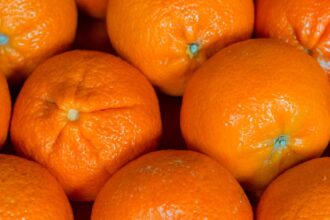 découvrez comment une alimentation équilibrée peut transformer votre peau avec notre guide sur le régime pour une peau éclatante. apprenez les secrets des aliments qui favorisent l'hydratation, la luminosité et la santé de votre épiderme.