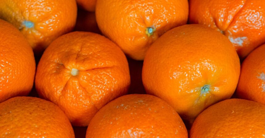 découvrez comment une alimentation équilibrée peut transformer votre peau avec notre guide sur le régime pour une peau éclatante. apprenez les secrets des aliments qui favorisent l'hydratation, la luminosité et la santé de votre épiderme.