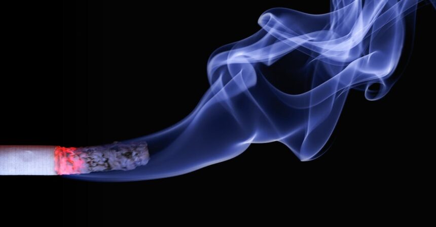 découvrez le phénomène de l'addiction sexuelle, ses causes et ses impacts sur la vie quotidienne. apprenez à reconnaître les signes, les traitements disponibles et comment retrouver un équilibre sain dans vos relations. informez-vous pour mieux comprendre cette problématique complexe.