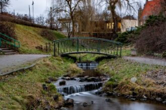 découvrez tout sur le bridge dentaire, une solution efficace pour remplacer une ou plusieurs dents manquantes. apprenez-en plus sur son fonctionnement, ses avantages et comment il peut améliorer votre sourire.