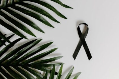 découvrez tout sur le mélanome, un type de cancer de la peau, y compris ses causes, symptômes, méthodes de prévention et traitements disponibles. informez-vous pour mieux protéger votre santé et celle de vos proches.