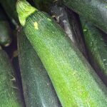 découvrez le régime paléolithique, une approche nutritionnelle inspirée des ancêtres chasseurs-cueilleurs. apprenez à privilégier les aliments naturels, riches en nutriments, tout en éliminant les produits transformés. transformez votre santé et votre bien-être grâce à des recettes savoureuses et des conseils pratiques sur la diète paléo.