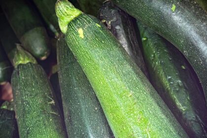 découvrez le régime paléolithique, une approche nutritionnelle inspirée des ancêtres chasseurs-cueilleurs. apprenez à privilégier les aliments naturels, riches en nutriments, tout en éliminant les produits transformés. transformez votre santé et votre bien-être grâce à des recettes savoureuses et des conseils pratiques sur la diète paléo.