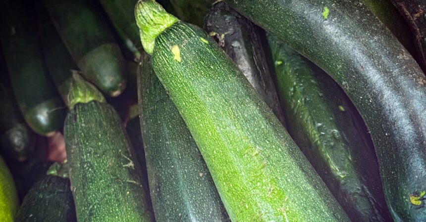 découvrez le régime paléolithique, une approche nutritionnelle inspirée des ancêtres chasseurs-cueilleurs. apprenez à privilégier les aliments naturels, riches en nutriments, tout en éliminant les produits transformés. transformez votre santé et votre bien-être grâce à des recettes savoureuses et des conseils pratiques sur la diète paléo.