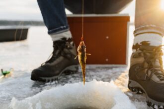 découvrez l'univers captivant de 'frozen hand', une histoire intrigante mêlant mystère et suspense. suivez les aventures de personnages fascinants confrontés à des énigmes glaciales, dans une quête pour percer les secrets d'un pouvoir gelé. plongez dans un récit palpitant qui vous tiendra en haleine jusqu'à la dernière page.