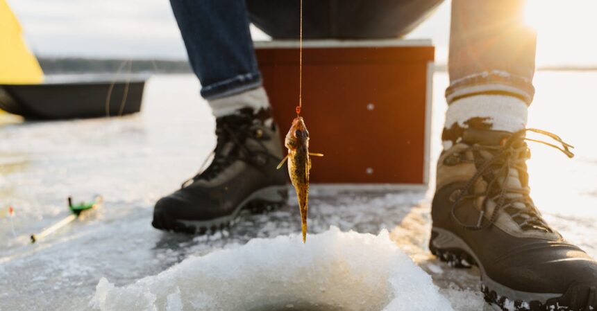découvrez l'univers captivant de 'frozen hand', une histoire intrigante mêlant mystère et suspense. suivez les aventures de personnages fascinants confrontés à des énigmes glaciales, dans une quête pour percer les secrets d'un pouvoir gelé. plongez dans un récit palpitant qui vous tiendra en haleine jusqu'à la dernière page.