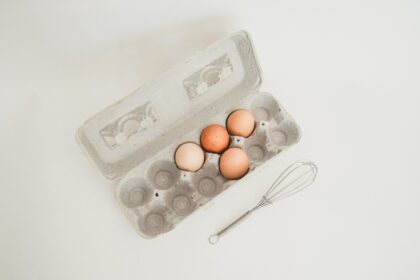 découvrez les principes essentiels d'une nutrition saine pour améliorer votre bien-être. apprenez à équilibrer votre alimentation avec des conseils pratiques et des recettes délicieuses pour un mode de vie optimal.