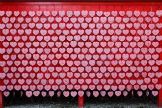 la défaillance cardiaque est une affection grave qui affecte le pompage du cœur, entraînant fatigue, essoufflement et autres symptômes. découvrez les causes, les traitements et les conseils pour gérer cette maladie.