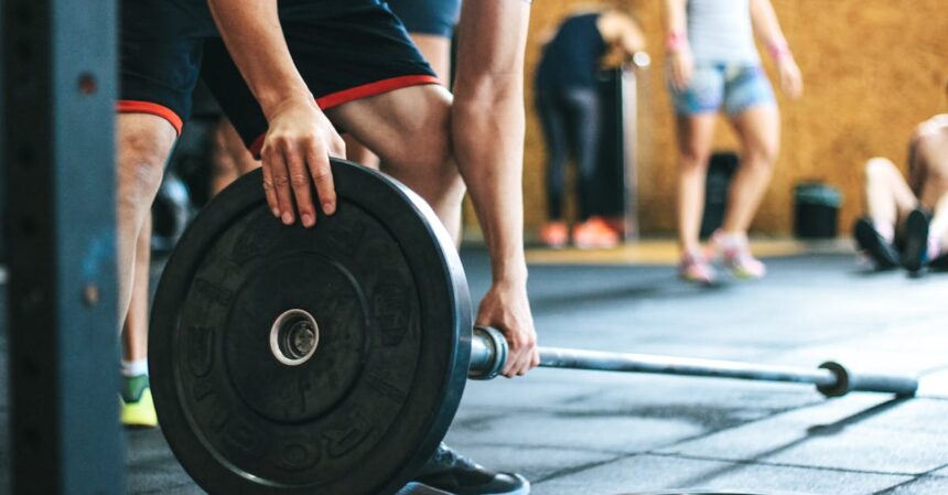 découvrez des conseils et des techniques efficaces pour le développement musculaire, incluant des programmes d'entraînement, des astuces nutritionnelles et des stratégies pour optimiser vos gains. transformez votre corps et atteignez vos objectifs de fitness avec notre guide complet.