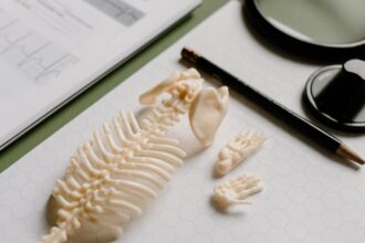 découvrez les dernières avancées en cardiologie, des traitements innovants aux conseils de prévention pour maintenir une santé cardiaque optimale. restez informé sur les maladies du cœur, les technologies médicales et les remèdes naturels pour une vie saine.
