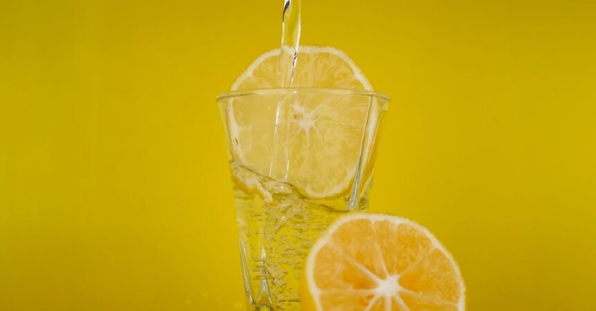 découvrez le régime dash, une méthode reconnue pour améliorer votre santé cardiovasculaire et réduire votre pression artérielle. adapté à tous, ce régime favorise la consommation de fruits, légumes, grains entiers et protéines maigres, tout en limitant les aliments riches en sodium et en graisses saturées. adoptez un mode de vie sain et savoureux grâce au régime dash !