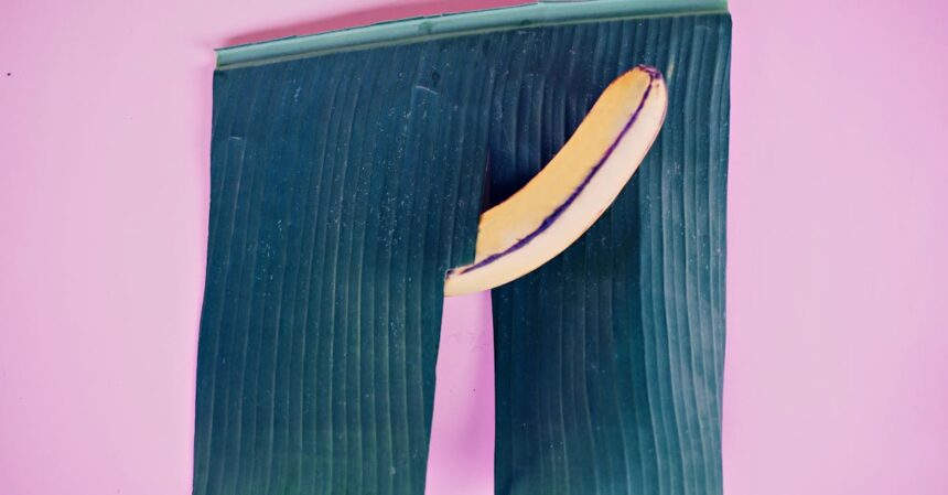 découvrez l'importance de la compatibilité sexuelle dans les relations amoureuses. apprenez à évaluer vos désirs, attentes et préférences pour construire une connexion profonde et épanouissante. nos conseils vous aideront à explorer ce sujet délicat et à renforcer votre complicité avec votre partenaire.