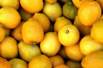 découvrez notre guide sur le skin detox : des conseils pour purifier votre peau, éliminer les impuretés et retrouver un éclat naturel. apprenez les meilleures techniques et soins pour revitaliser votre teint et favoriser une beauté saine.