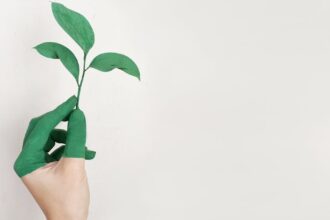 découvrez des stratégies inspirantes pour stimuler votre développement personnel. transformez votre vie, améliorez vos compétences et atteignez vos objectifs grâce à des conseils pratiques et des ressources motivantes.