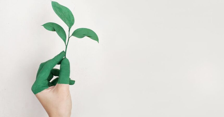 découvrez des stratégies inspirantes pour stimuler votre développement personnel. transformez votre vie, améliorez vos compétences et atteignez vos objectifs grâce à des conseils pratiques et des ressources motivantes.
