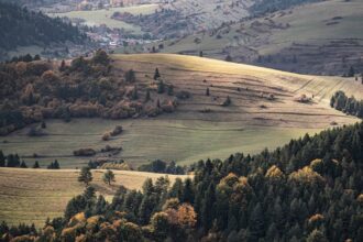 découvrez les causes fréquentes des blessures liées aux chutes, ainsi que des conseils pratiques pour les prévenir et assurer votre sécurité au quotidien.