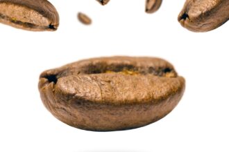 découvrez les stimulants : leurs effets, usages et précautions. informez-vous sur les différentes catégories de stimulants, leur impact sur la santé et comment les utiliser de manière responsable.
