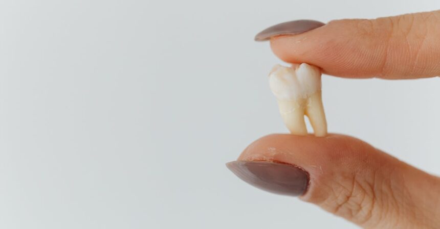 découvrez tout ce que vous devez savoir sur l'extraction des dents de sagesse : des symptômes aux procédures, en passant par les soins postopératoires. informez-vous pour une intervention en toute sérénité.