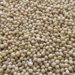 découvrez l'importance des fibres alimentaires pour votre santé. apprenez à intégrer ces précieux nutriments dans votre alimentation quotidienne pour améliorer votre digestion, maintenir un poids santé et prévenir diverses maladies.