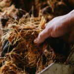découvrez les fibres insolubles, essentielles pour une digestion saine et un bien-être optimal. apprenez comment elles contribuent à la santé de votre intestin, régulent votre transit et améliorent votre alimentation. explorez les sources alimentaires riches en fibres insolubles et les bienfaits qu'elles offrent dans votre quotidien.